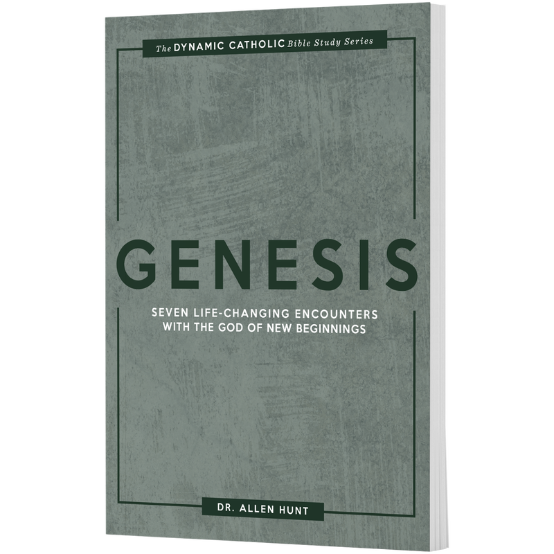 Book cover titled Genesis by Dr. Allen Hunt, featuring a simple gray design with dark green text. image number 0