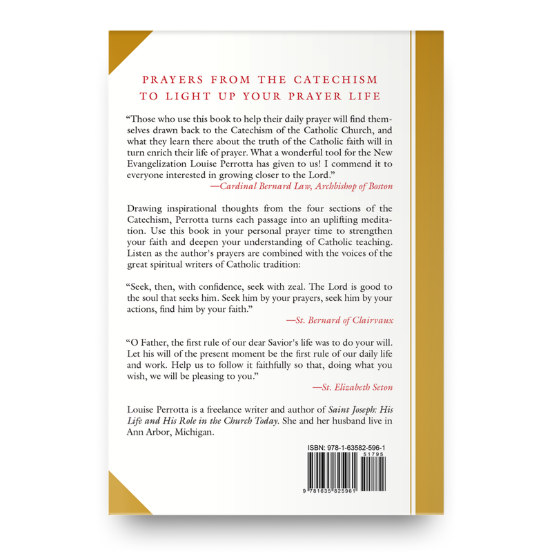 Product image for Praying the Catechism image number 1