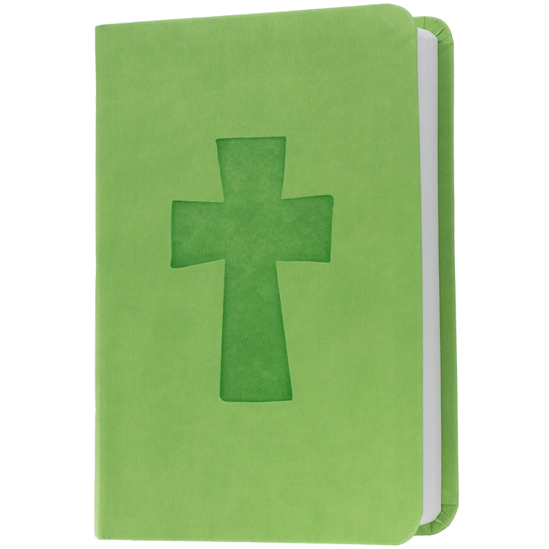 Product image for Bible: RSV Catholic Edition image number 0