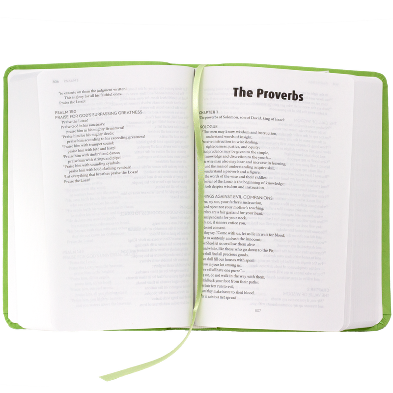 Product image for Bible: RSV Catholic Edition image number 1