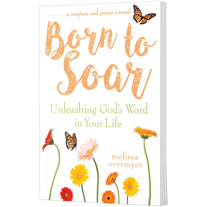 Product image for Born to Soar image number 0