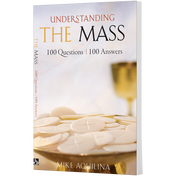 Product image for Understanding the Mass