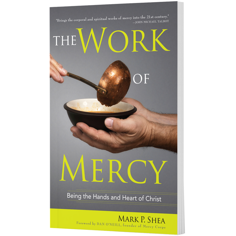 Product image for The Work of Mercy image number 0