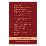 Product image for Divine Mercy Prayer Cards (Pack of 20) image number 5