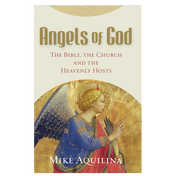 Product image for Angels of God
