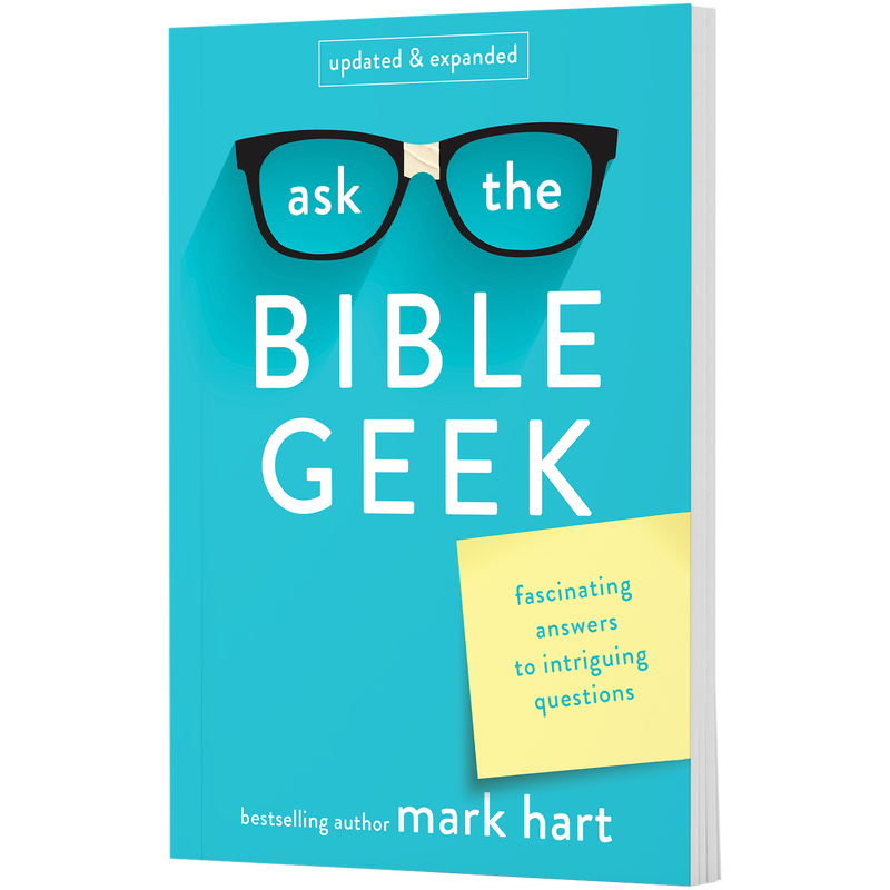 Product image for Ask The Bible Geek image number 0