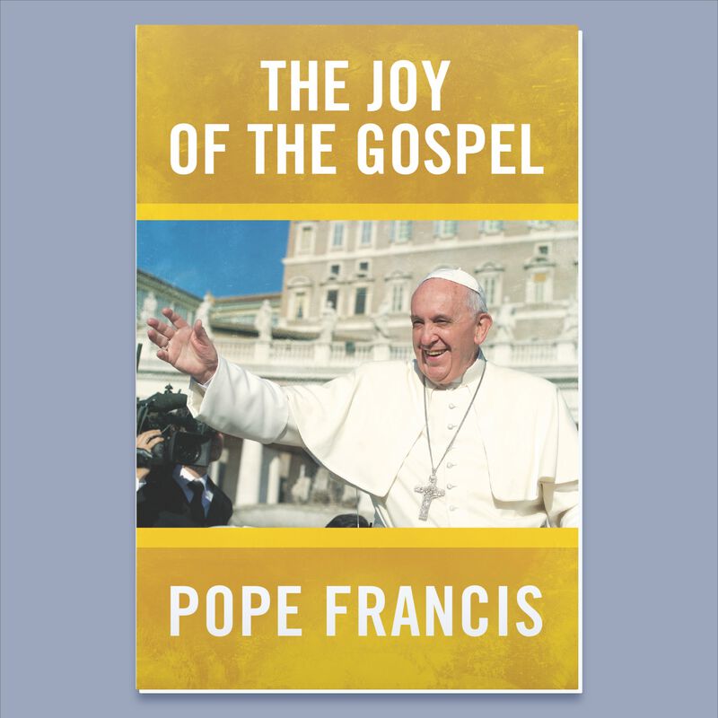 The Joy Of The Gospel by Pope Francis image number 0