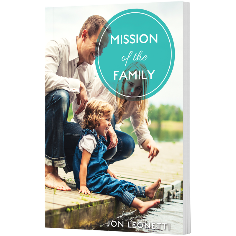 Product image for Mission of the Family image number 0