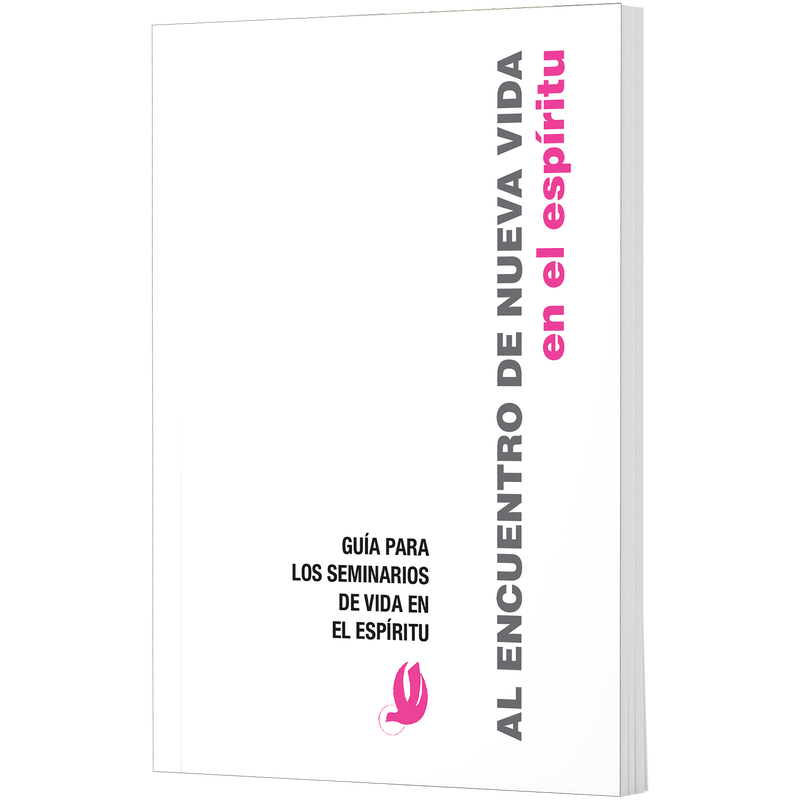 Product image for Al Encuentro De Nueva Vida image number 0