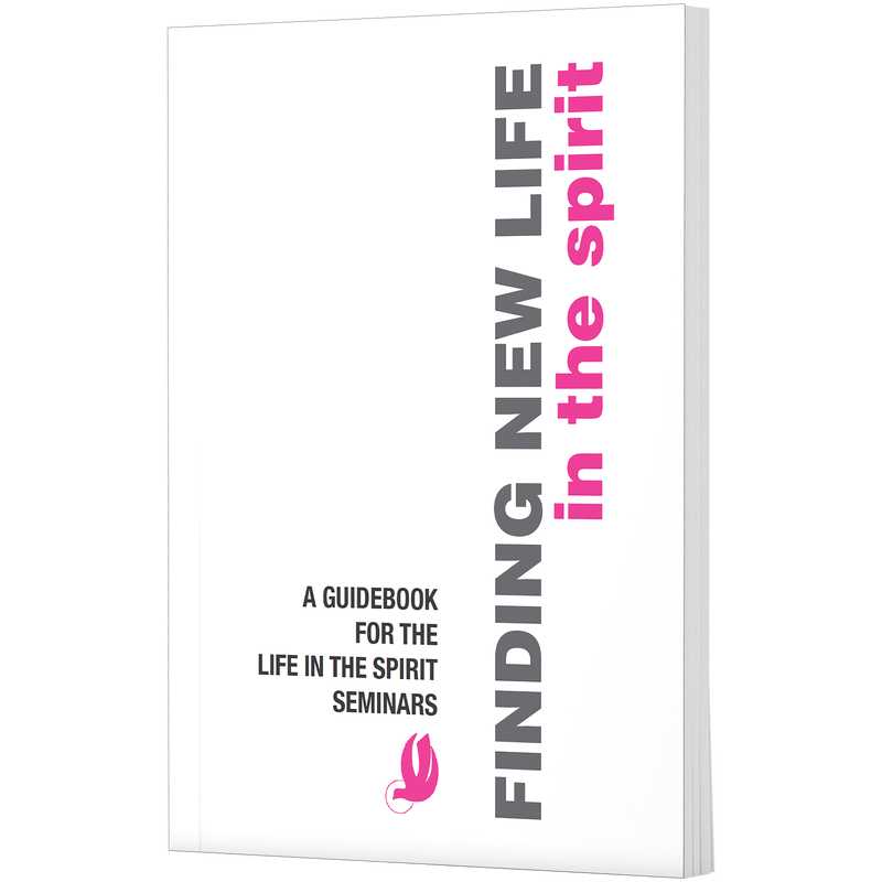 Product image for Finding New Life in the Spirit image number 0