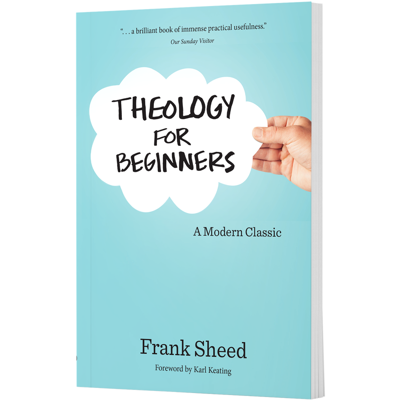 Product image for Theology for Beginners image number 0