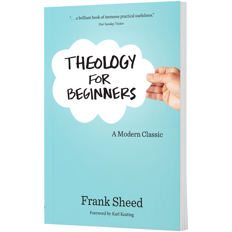 Product image for Theology for Beginners image number 0