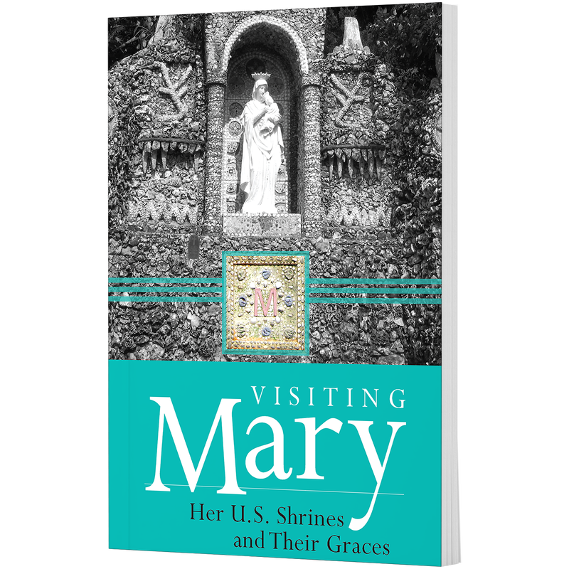 Product image for Visiting Mary image number 0