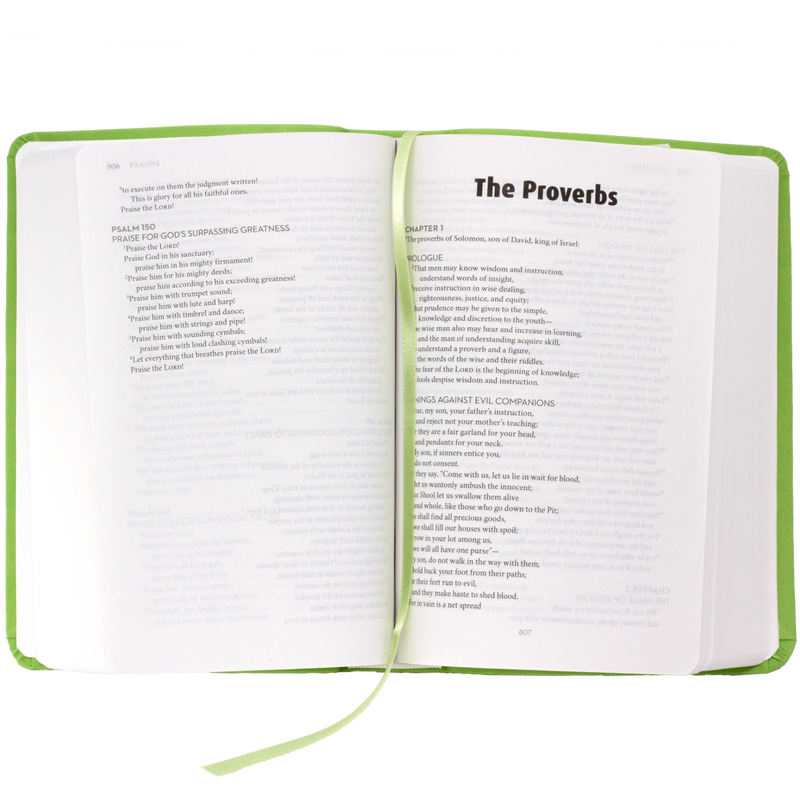 Product image for Bible: RSV Catholic Edition image number 1