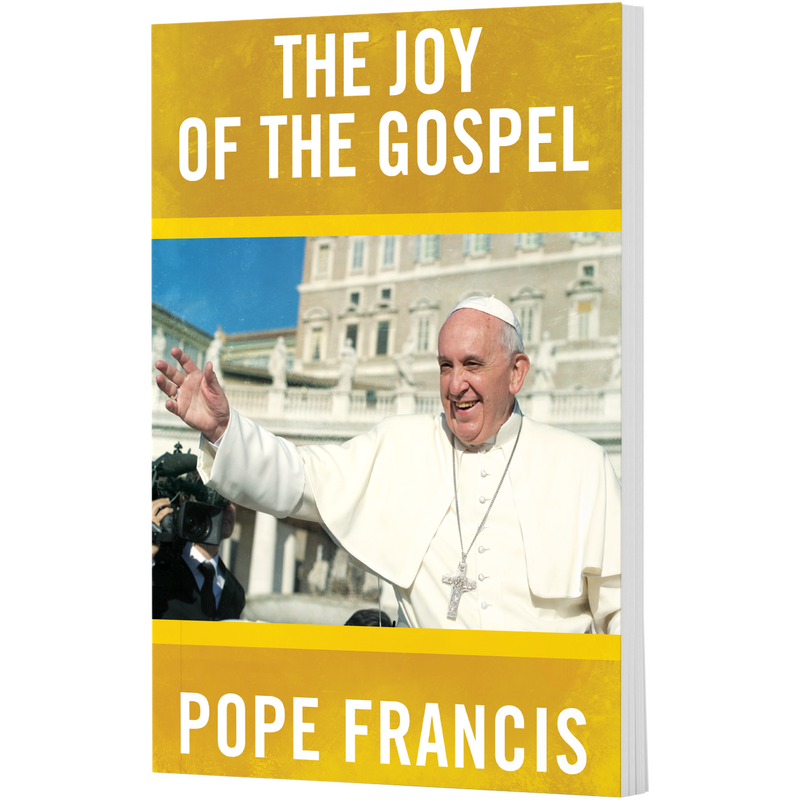 Product image for Joy of the Gospel image number 0