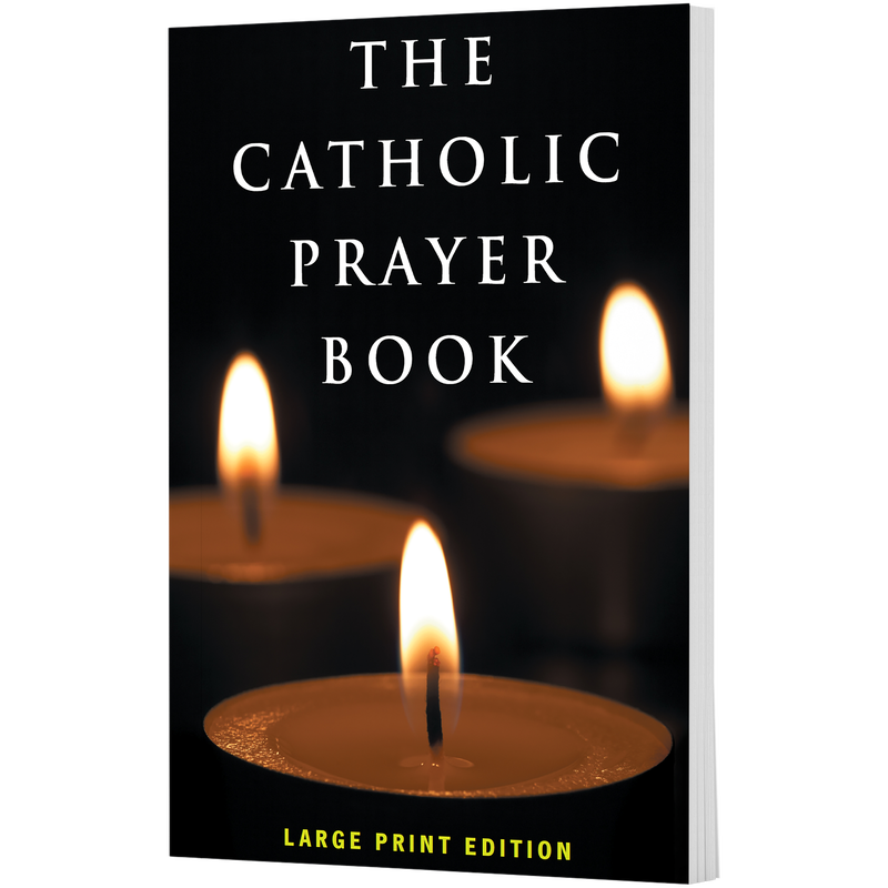 Product image for The Catholic Prayer Book (Large Print Edition) image number 0
