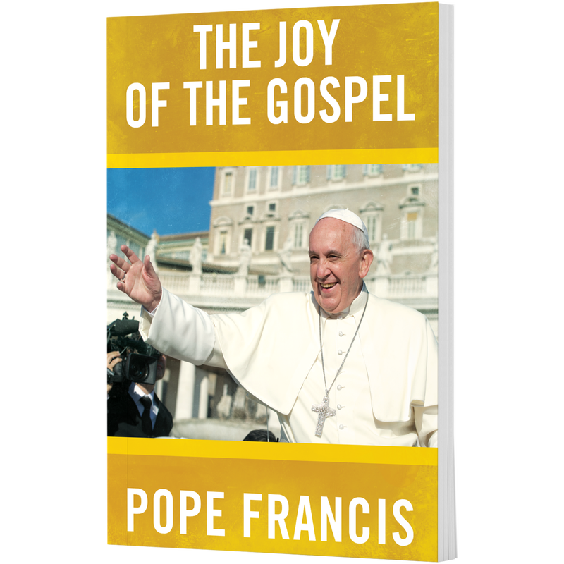 Product image for Joy of the Gospel image number 0