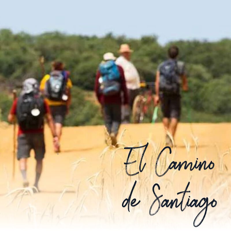 Buy El Camino De Santiago 22 Dynamic Catholic