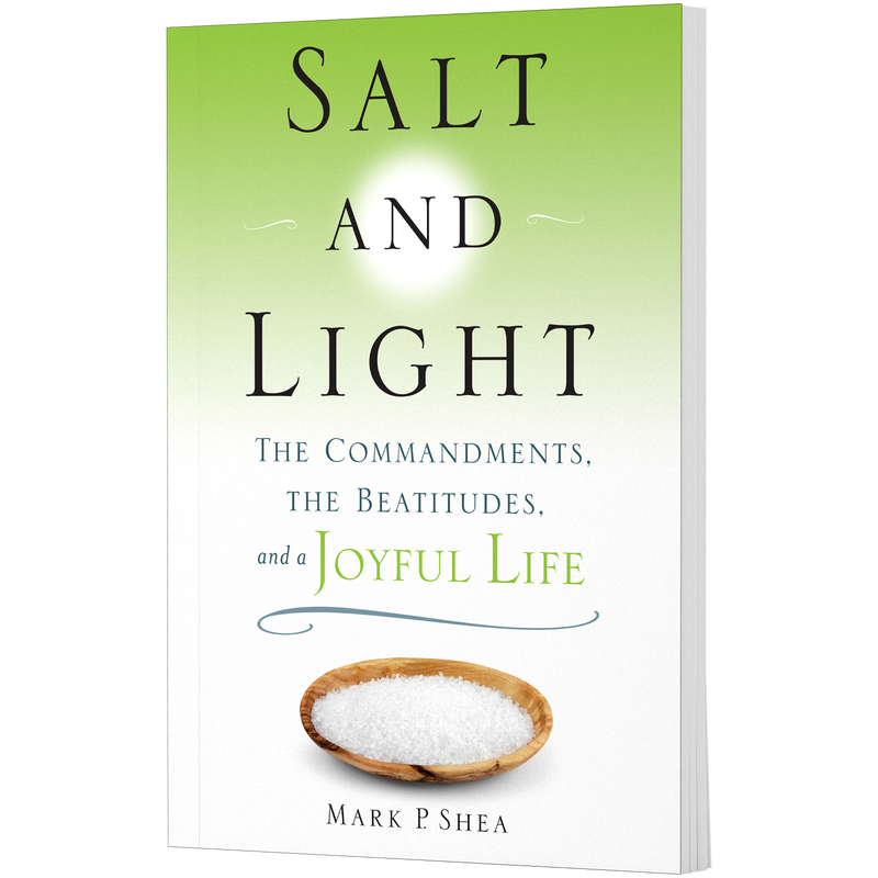 Product image for Salt and Light image number 0