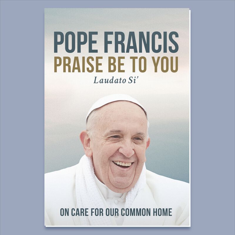 Praise Be To You by Pope Francis image number 0