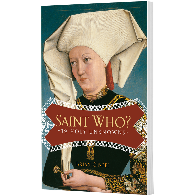 Product image for Saint Who? image number 0