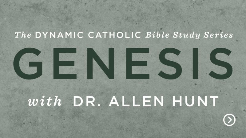 Genesis Bible Study Series