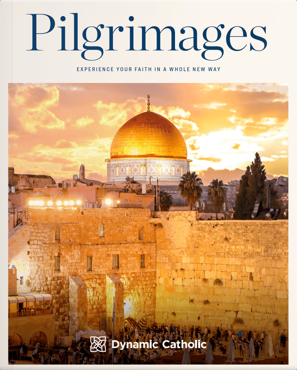 The Dynamic Catholic Pilgrimage Brochure