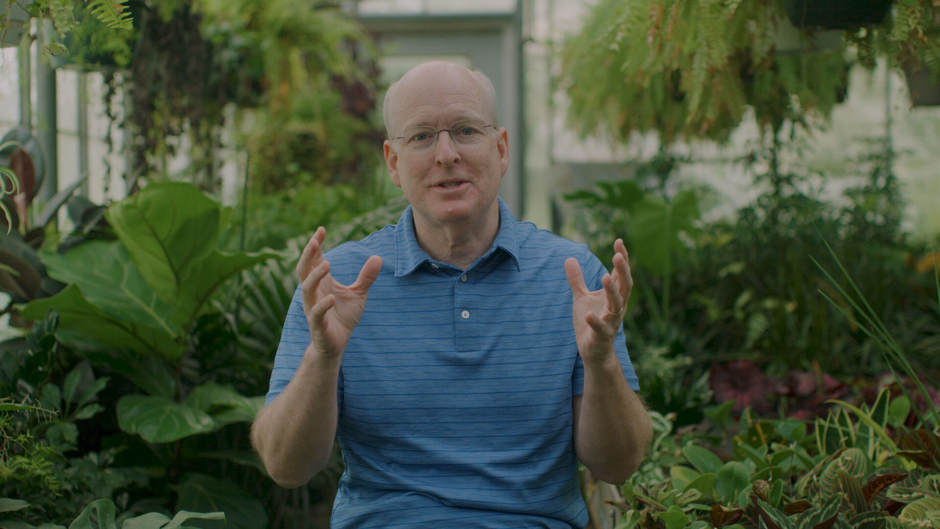 Dynamic Catholic GENESIS Bible Study Series | Dynamic Plus