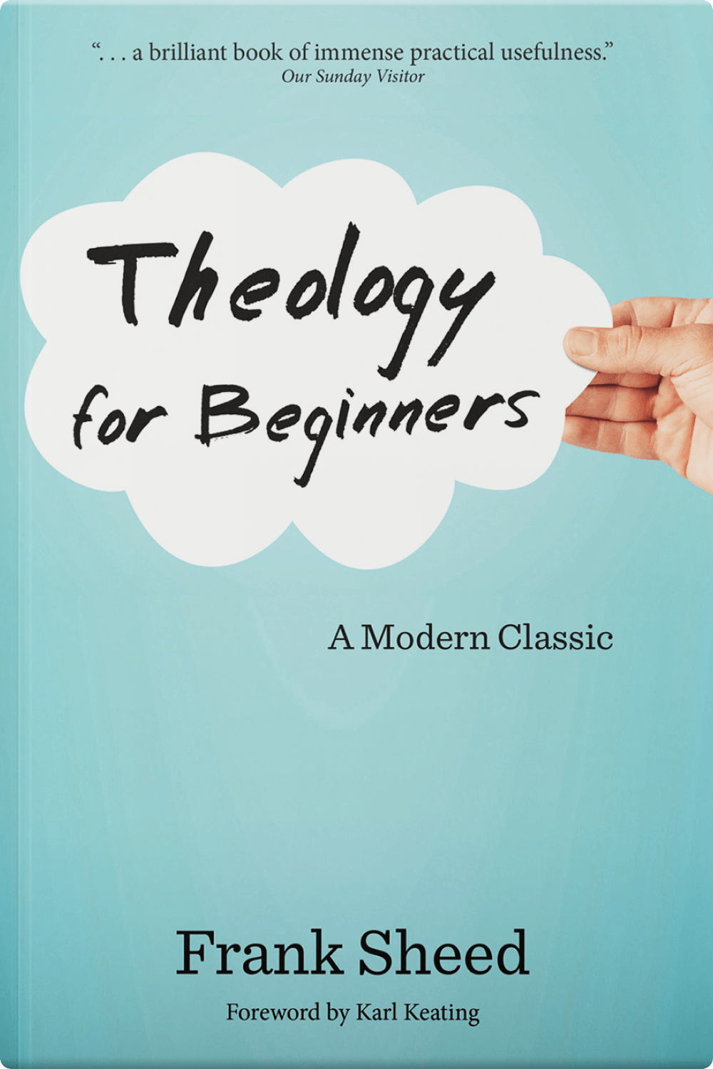 Theology for Beginners 
