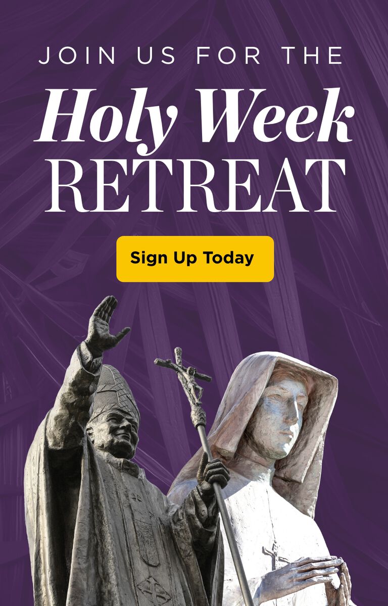 Dynamic Catholic Homepage | Be Bold. Be Catholic.