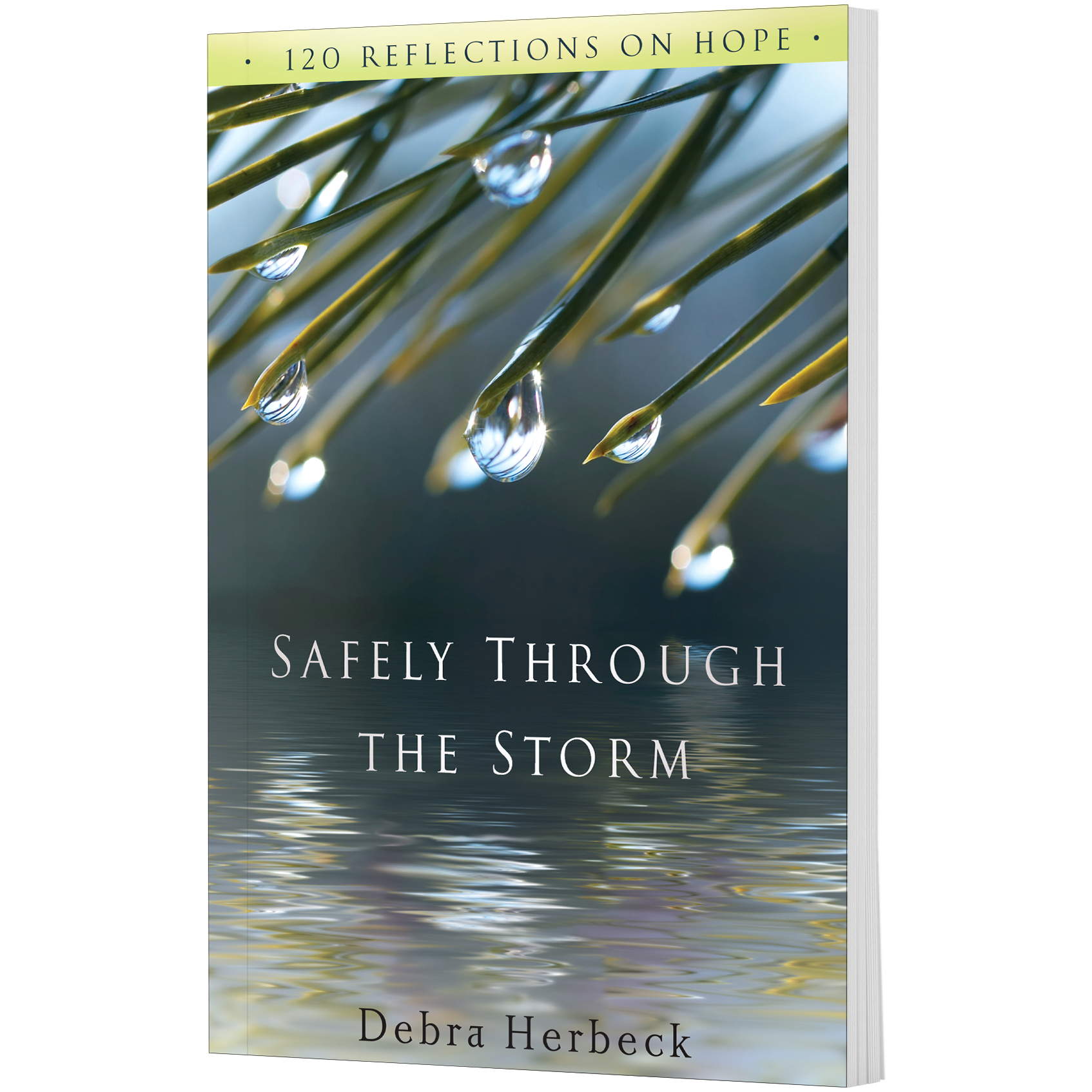 Brooke Synn: Her Journey Through The Storm - j210rk1