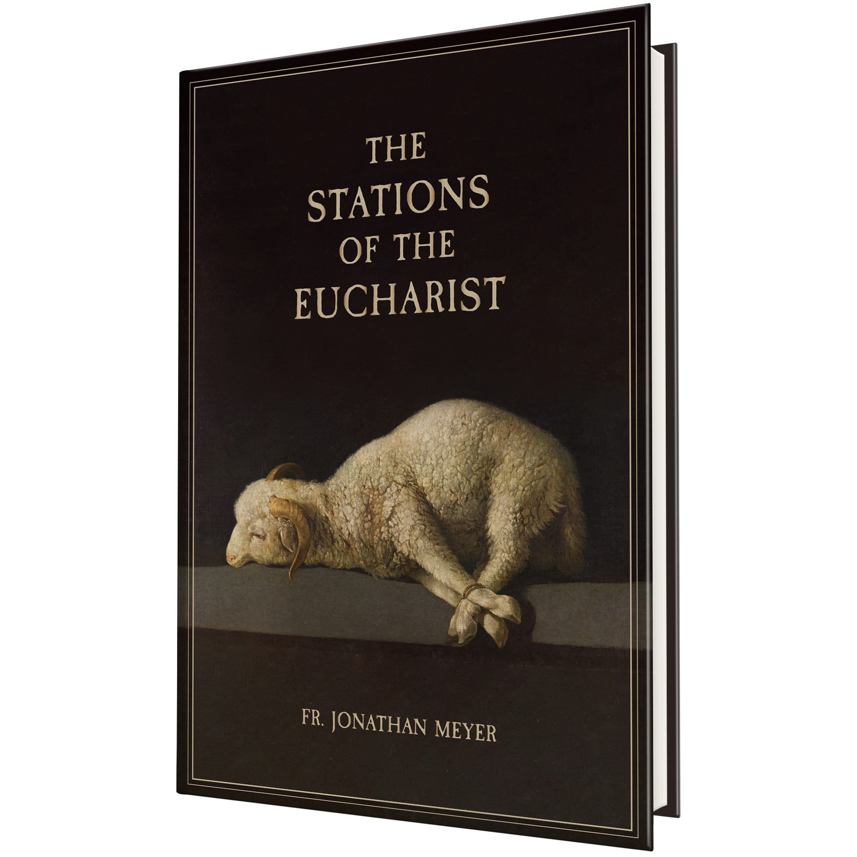 Buy The Stations of the Eucharist | Dynamic Catholic